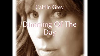 Dimming Of The Day Cover song [upl. by Iznek]