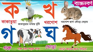 বাংলা ব্যঞ্জনবর্ণ ক খ গ ঘ  Bangla Banjonborno  क अ ग ह  Bangla Bornomala  Learn Bengali Alphabet [upl. by Cherise]