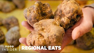 Hunting For White Truffles In Italy  Regional Eats [upl. by Nnayelsel]