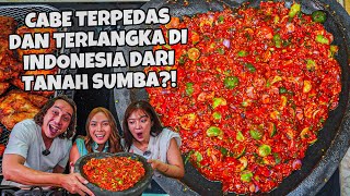 SAMBAL ULEK LANGKA DARI SUMBA HARGANYA 500RIBU PERKILO LEBIH PEDES DARI CAROLINA REAPER [upl. by Ezarra]