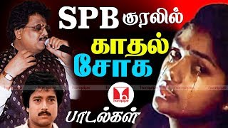 SPB குரலில் காதல் சோகப் பாடல்கள்  Super Hit Sad Tamil Songs Collections  Hornpipe Record Label [upl. by Einneg613]