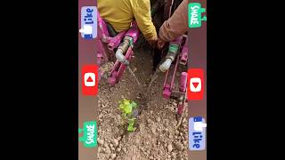 kheti badi story farming short tranding shorts sorts viralshort viral kheti kisani farmer [upl. by Alleuqcaj438]