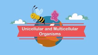 Unicellular and Multicellular Organisms [upl. by Marguerie]