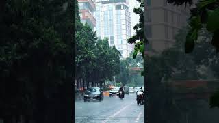 Dhaka titumir college rain shortsvideo environment beautiful [upl. by Niple]