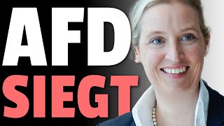 💥AfD SIEGT vor GERICHT gegen GRÜNE💥 [upl. by Ariaec]