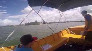 Swan Boat Hire Maroochydore Sunshine Coast 3 [upl. by Horodko]