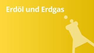 Erdöl und Erdgas  Chemie  Organische Verbindungen – Eigenschaften und Reaktionen [upl. by Frodin]