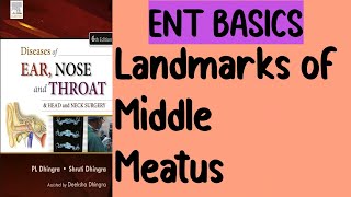 Landmarks of Middle meatus  Osteomeatal complex  Part 7  Nose [upl. by Hallsy]