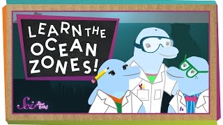 Lets Learn the Ocean Zones [upl. by Aihcats]