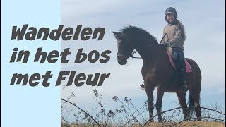 Wandelen in het bos met Fleur  paarden update [upl. by Krein302]