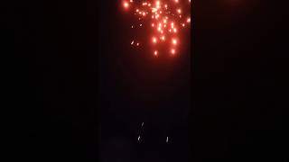 One shorter Happy Diwali 🎆 onepiece oneshorter diwali shortviral yt shotsvideo [upl. by Birkner]