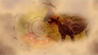 Best Documentaries  The Evolution of Mammals Part 1  Meet the Synapsids [upl. by Lytton]