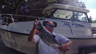 Catching A Chinook Salmon While Fishing For Coho Got to love it [upl. by Auqinet]