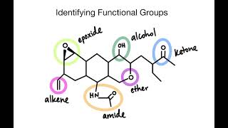 Identifying Functional Groups in Organic Structures  Chemistry Practice Problems [upl. by Slavin906]