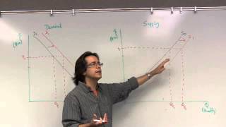 Supply and Demand Shift vs Movement along [upl. by Zulch]