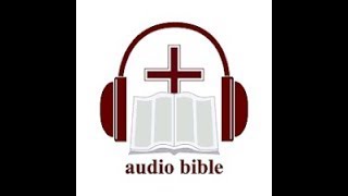 John 19  KJV Holy Bible Audio amp Text [upl. by Llerut]