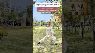 Jingang GongThe Third Posturetaichi kungfu exercise meridian tcm practice chineseculture [upl. by Harak]