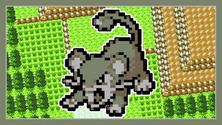 SHINY RATTATA after 2583 REs  Crystal DTQ [upl. by Mahtal]