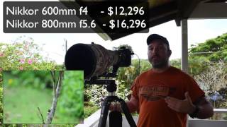 Part 2 A Live Demonstration of the Nikon AFS Nikkor 800mm f56E FL ED VR [upl. by Llerrehs]