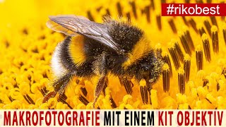 MAKROFOTOGRAFIE 📷 Anfänger TIPPS für tolle Fotos mit einem Kitobjektiv 📷 und Makro Zwischenringen [upl. by Annis]