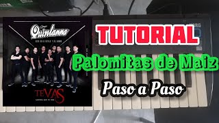 Palomitas de Maíz TUTORIAL TECLADO  PIANO Grupo Quintanna [upl. by Resee850]