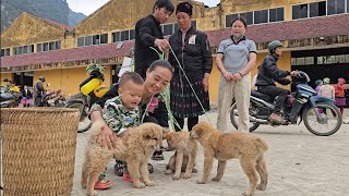 Kind man  helps single mother buy puppy to raise  kindness  anh hmong [upl. by Virendra]