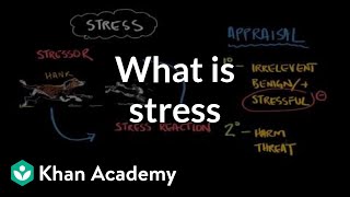 What is stress  Processing the Environment  MCAT  Khan Academy [upl. by Aniroc]