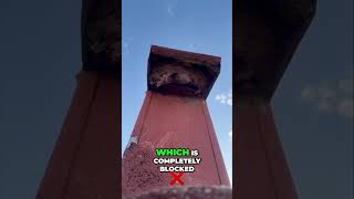 Clear Your Roof Dryer Vent NOW Essential Tips diy [upl. by Mindy139]