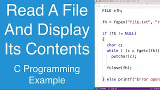 Read A File And Display Its Contents  C Programming Example [upl. by Fahy]