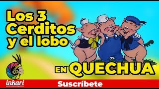 Los tres cerditos y el lobo  Quechua [upl. by Annitsirhc]