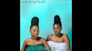 Naledi Aphiwe amp Fezeka Dlamini  Zojiki Izinto  Official audio [upl. by Anilec]