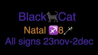 All Signs 23nov2dec amp natal 8🪄 Sagittarius 🔻 Birthday Correspondences [upl. by Eglantine329]