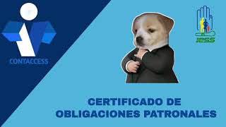 CERTIFICADO IESS [upl. by Anaehs]