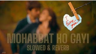 MOHABBAT HO GAYI  SLOWED amp REVERB [upl. by Notsae]