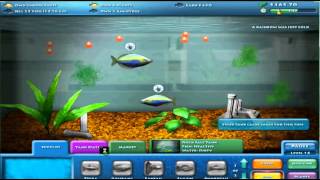 Pt 16 Fishco Gameplay Pt 16 of 40 [upl. by Pennington29]