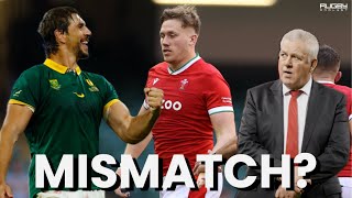 WALES v SOUTH AFRICA  SELECTION REACTION  Is this the weakest Wales team ever [upl. by Aisatsanna]