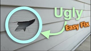 Quick Solution for Siding Cracks [upl. by Ogata]