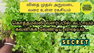 கொத்தமல்லி வளர்ப்பில் கவனிக்க வேண்டிய குறிப்புகள்  Tips to grow Coriander  Kothamalli valarpu [upl. by Zita]