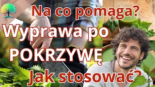 Pokrzywa dlaczego czasem lepiej jej nie zbierać Jak stosować Kiedy szkodzi kiedy pomaga [upl. by Nidla598]