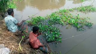 বসি মাছ ধরা অনেক কষ্ট Fishing Video  মাছ মাছধরা fishing fish [upl. by Mlehliw]