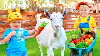 Oliver Diana dan Roma di Kebun Binatang  More Vlogs [upl. by Plate]