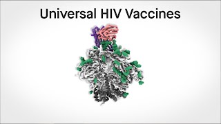 The search for universal vaccines HIV [upl. by Laitselec]