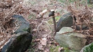 3 Easy Spring Snare Traps  Primitive  Survival [upl. by Dar]