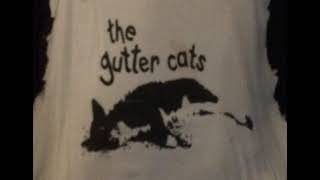 THE GUTTER CATS 1979  Avoid Love In A Void [upl. by Ramoj]