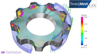 CFX BerlinVideo CFD Analysis Results of a Gerotor Pump [upl. by Ahselat414]