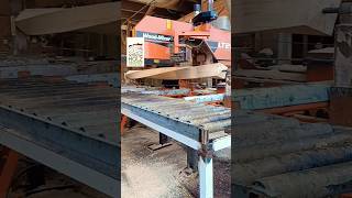 Wood for home depot lumber lumberjack woodmizer logosol norwood youtubeshorts video ytshorts [upl. by Iolande]