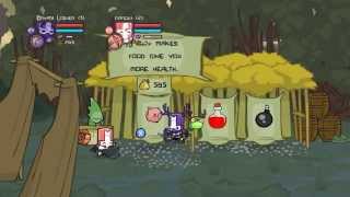 Castle Crashers  Animal Handler Achievement Guide [upl. by Ahsimet]