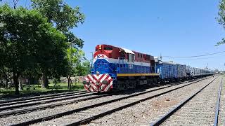 Tren Sanitario Dr Ramón Carrillo traccionado por ALCO RSD16 8231 saliendo de Patio Parada 13112024 [upl. by Alyakcim]