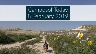 Camposol Today 8 February 2019 camposolspainexpatinmazarron [upl. by Analle]