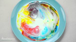 Dish soap and food coloring experiment  Handimania Lab [upl. by Mulcahy]